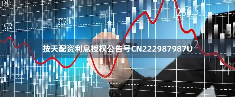 按天配资利息授权公告号CN222987987U
