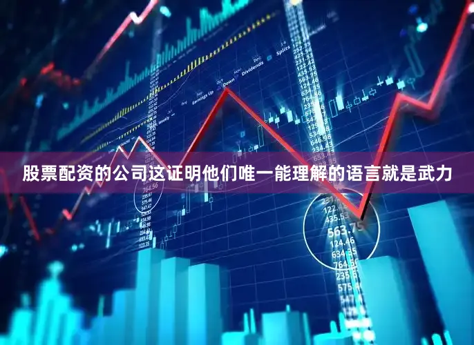 股票配资的公司这证明他们唯一能理解的语言就是武力